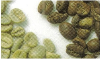 Raw Coffee Bean