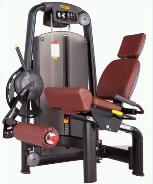 Leg Extension Machine