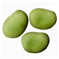 fava beans
