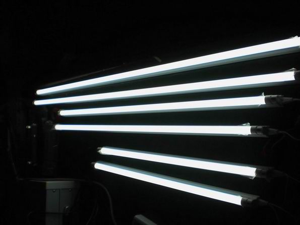 LED Tube Light