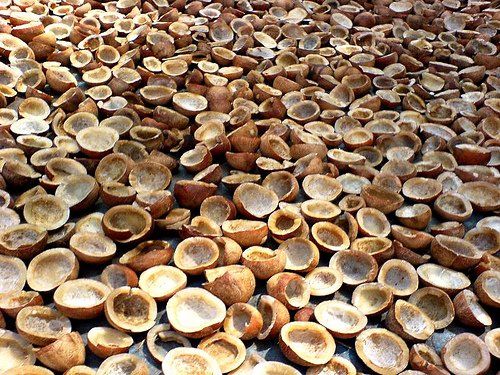 Feasibility study on copra buying image