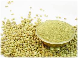 coriander powder