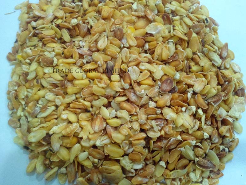 corn-germ-maize-germ-for-oil-buy-maize-germ-for-best-price-at-usd-350