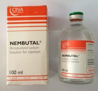 Nembutal Pentorbabital Sodium