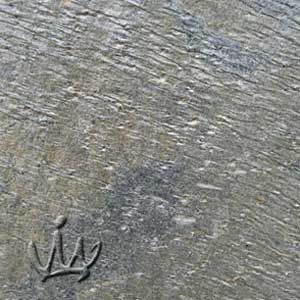 Deoli Green Slate Stone