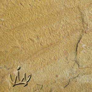 Lalitpur Yellow Sandstone