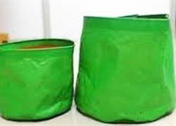 green bags
