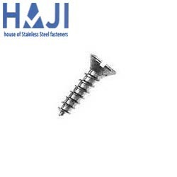 SS CSK Slotted Self Tapping Screw   .