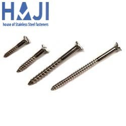 SS Slotted Head Wood Screw / SS shaved Head Wood Screw