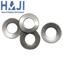 Stainless Steel Disc Washer