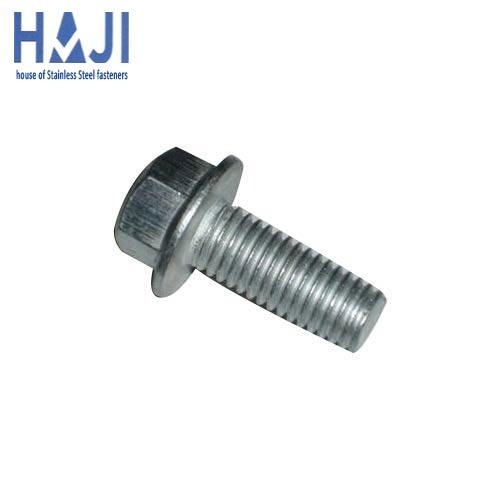 Stainless Steel Flange Bolt