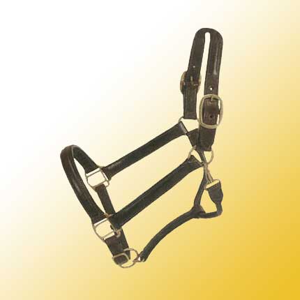 Raised Halter