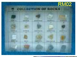 Specimens Of Rocks & Minerals