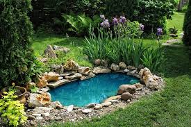 Garden Pond