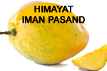 Organic Fresh Himayat Mango, Packaging Type : Corrugated Box