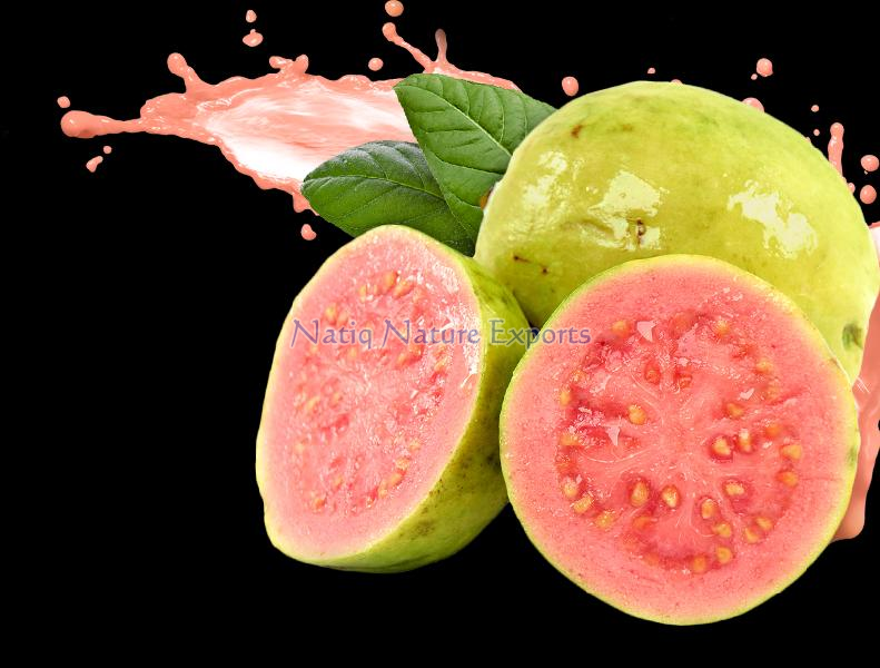 Buy Fresh Guava from Natiq Nature Exports, Warangal, India ID 3009534