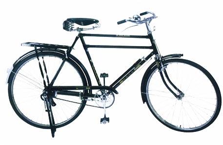 Roadster Raleigh Type Bicycle (Double Bar)