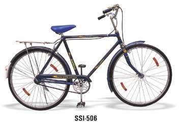 Roadster Raleigh Type Bicycle (Standard)