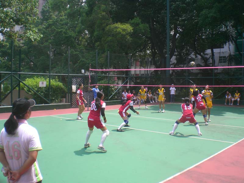 Volleyball Court Synthetic Flooring Surface Installation Services