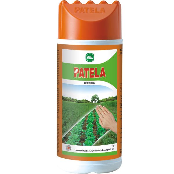 Clodinafop Propargyl Manufacturer in Gujarat India by Swal Corporation