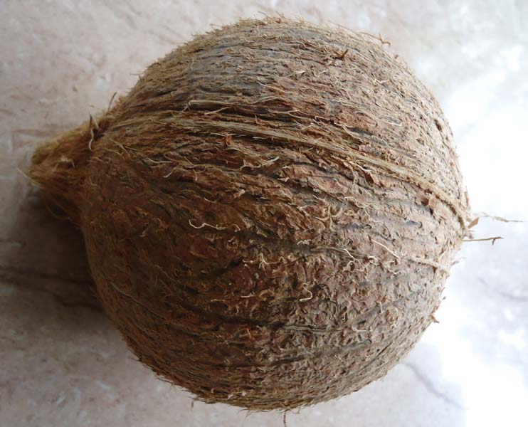Natural Coconuts