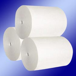 Silicone Coated Paper Rolls