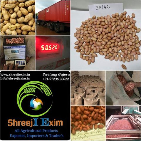 Shreeji exim peanuts kanerals bold, for end use or butter etc.., Grade : 40 - 50 - 60 - 70 -80 - 90