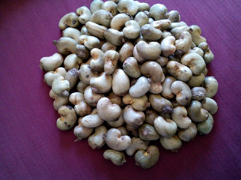 Raw Cashew Nuts In Shell IN BENIN