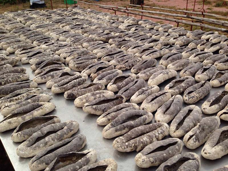 Exporters of Long Coconut Fiber & Sea Cucumbers Viet Delta Industrial