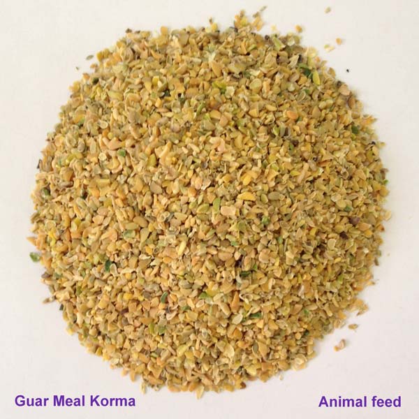 Guar Meal Korma (Animal Feed)