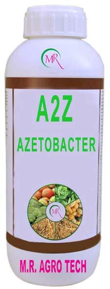 Azetobacter Bacteria