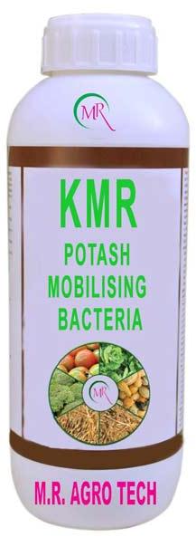 Potash Mobilizing Bacteria