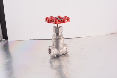 gate valve