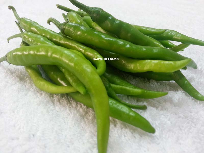 green chilli