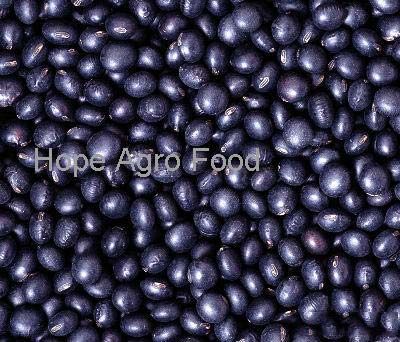 Dry Black Beans