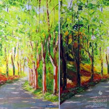 Digital Printed Fabric