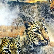 Digital Printed Fabric