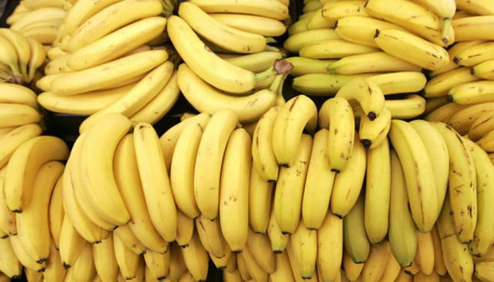 g9 banana