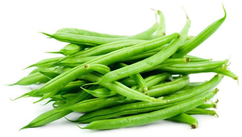 Fresh French Beans