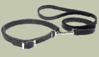 Dog Collar Leash