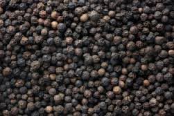 Black Pepper Seeds
