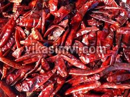 Dried Chilies