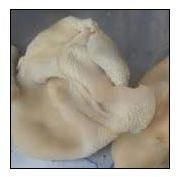 Frozen Buffalo Tripes