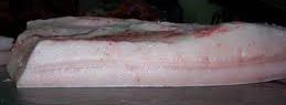 Frozen Pork Fat