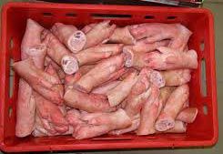 Frozen Pork Front Feet