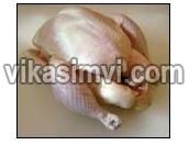 Frozen Whole Chicken and Chickn Parts