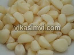 Garlic Clove