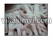 Halal Frozen Chicken Feet