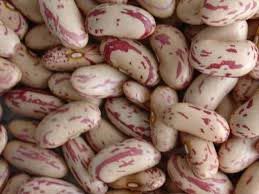 light speckled kidney beans