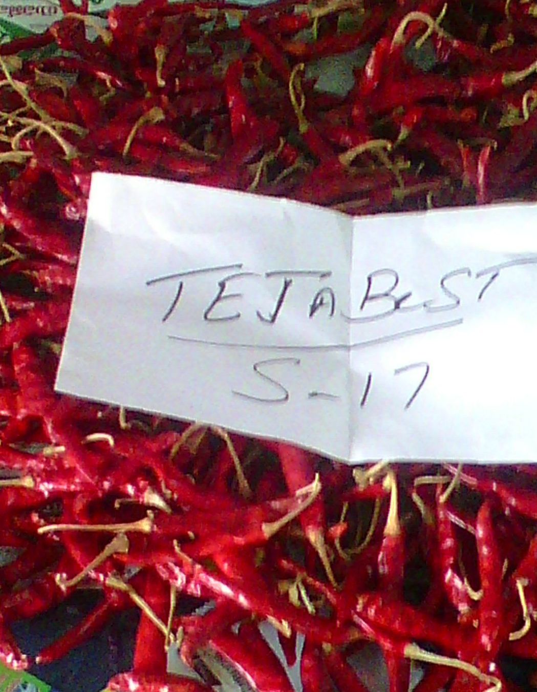 Ssvk Dry Chillies, Variety : teja s344, byadgi, 273